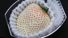 Có gì bên trong dâu tây trắng khổng lồ 200.000 đồng/quả độc nhất vô nhị tại Nhật Bản?
